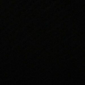 Meet your Posher, Nellie